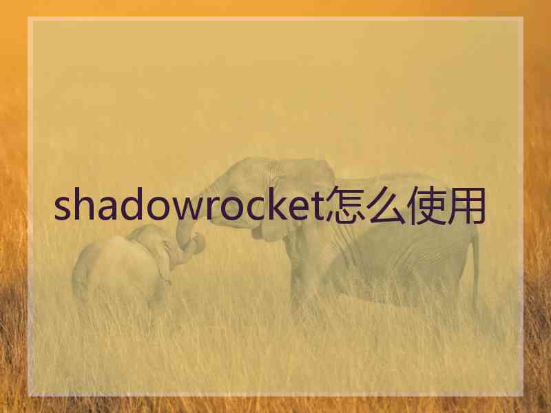 shadowrocket怎么使用