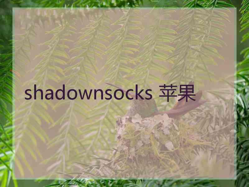 shadownsocks 苹果