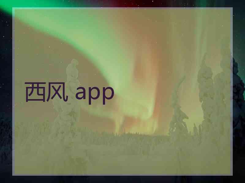 西风 app