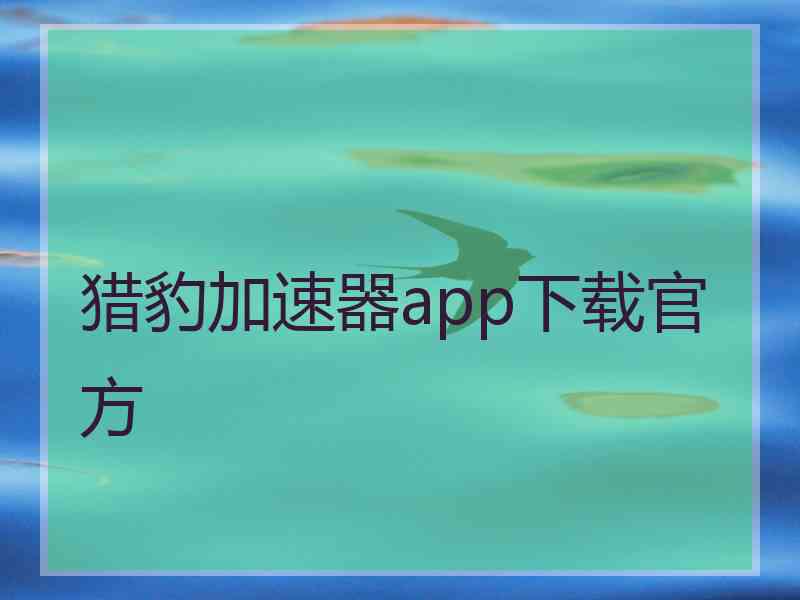 猎豹加速器app下载官方