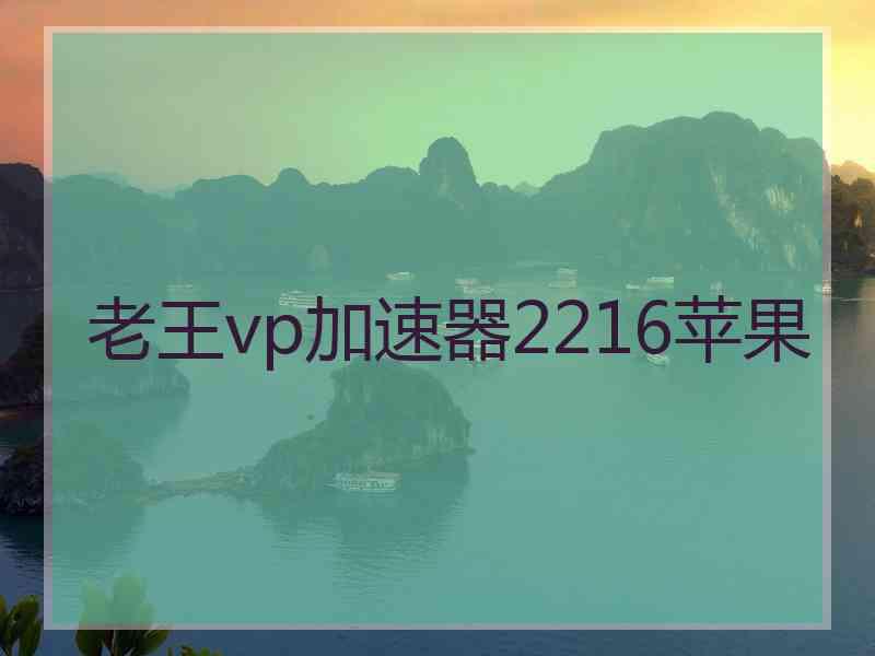 老王vp加速器2216苹果
