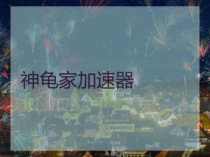 神龟家加速器