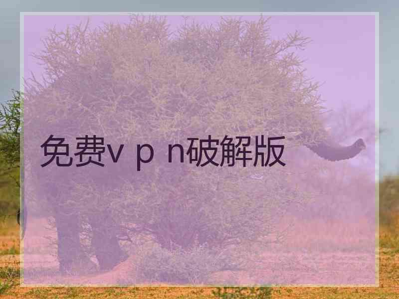 免费v p n破解版