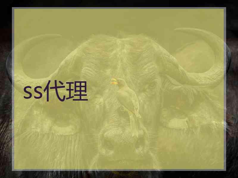 ss代理