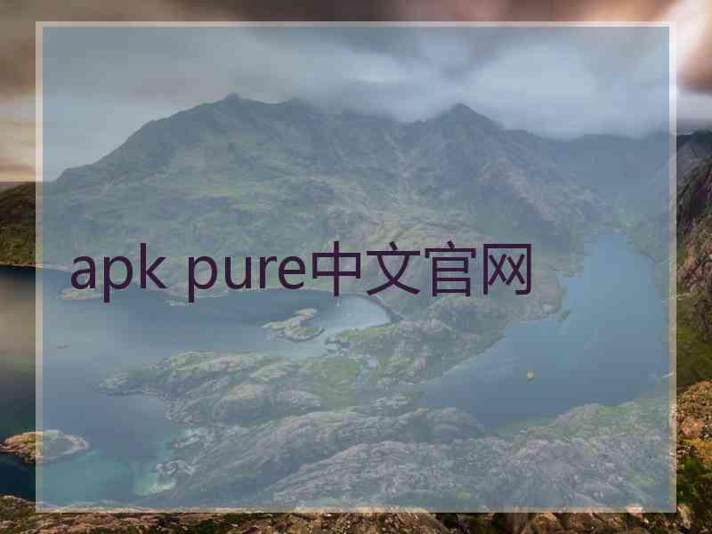 apk pure中文官网