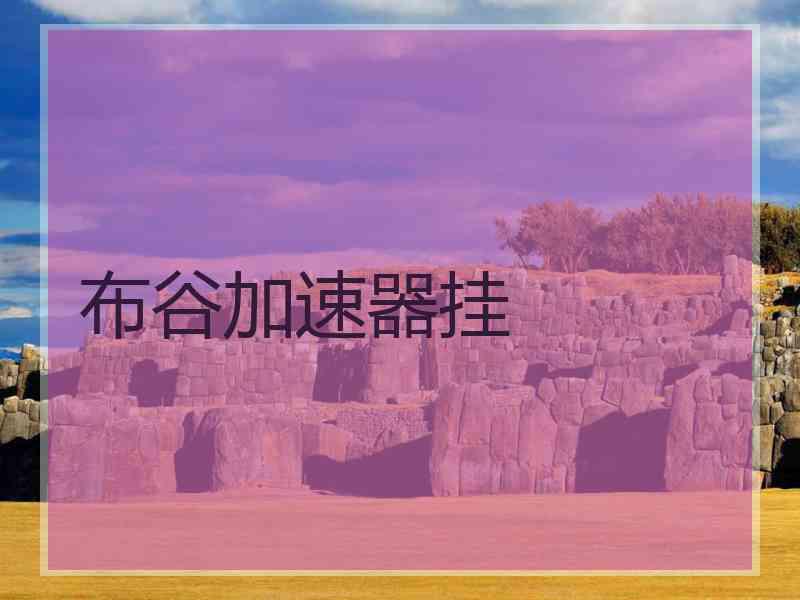 布谷加速器挂