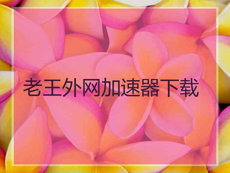 老王外网加速器下载