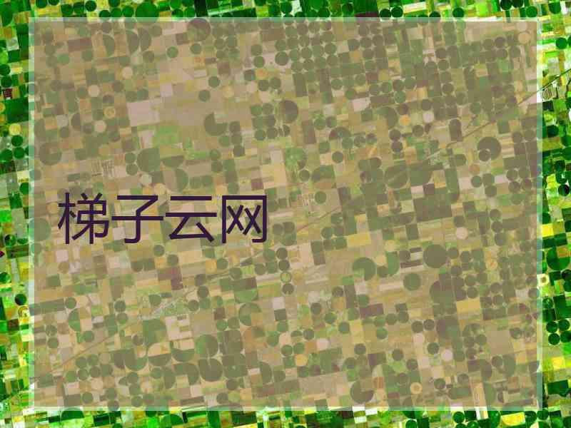 梯子云网