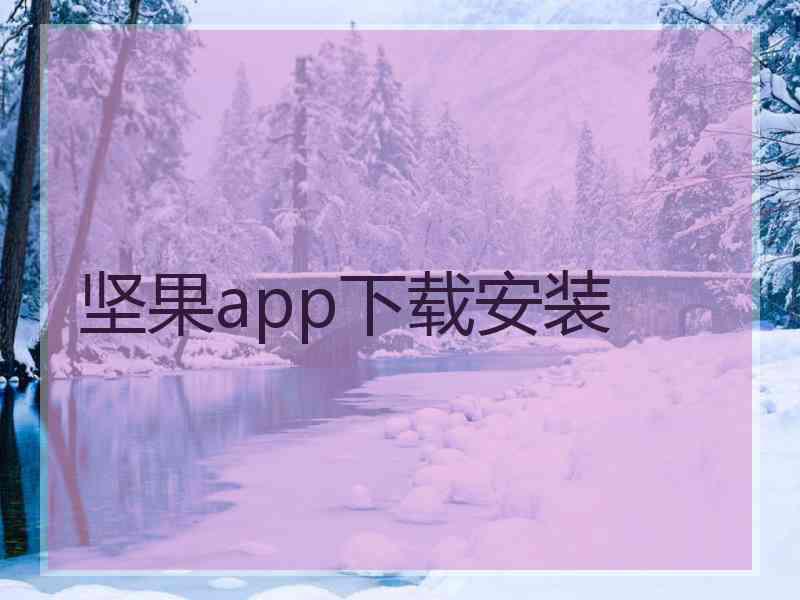 坚果app下载安装