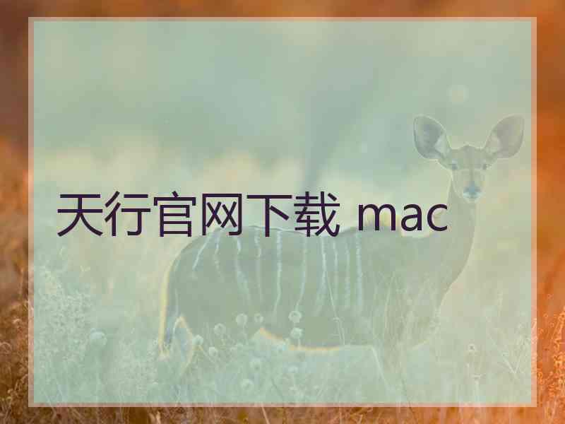 天行官网下载 mac