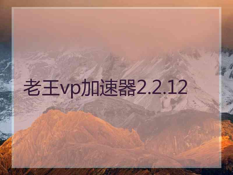 老王vp加速器2.2.12