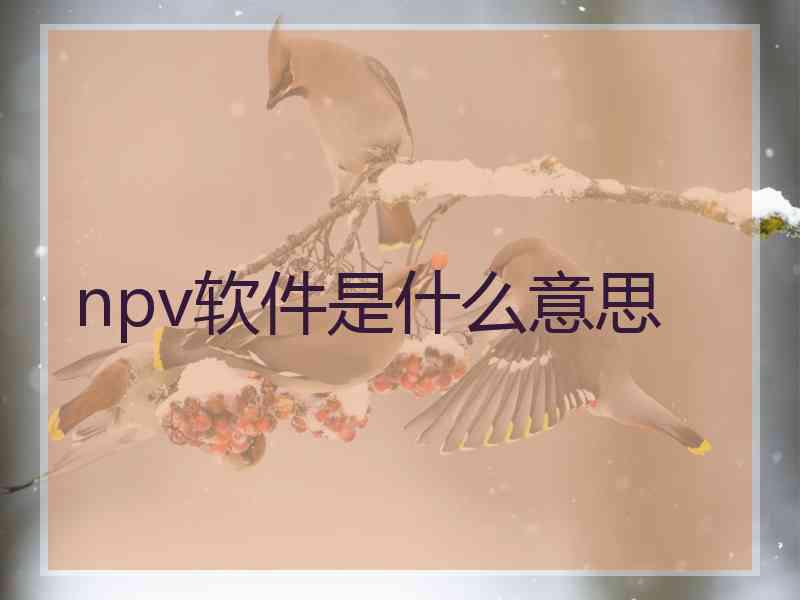 npv软件是什么意思