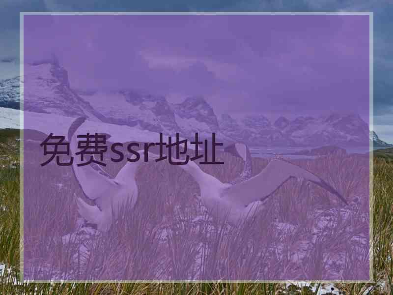 免费ssr地址