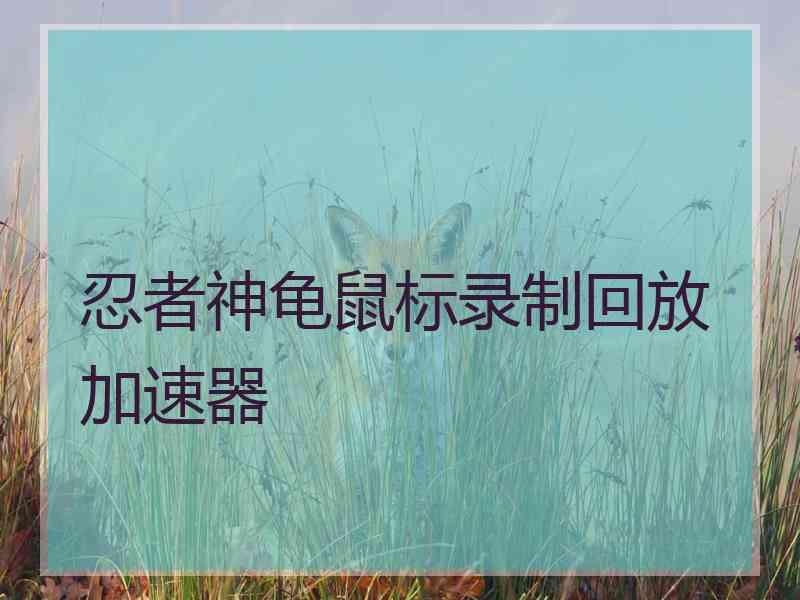 忍者神龟鼠标录制回放加速器