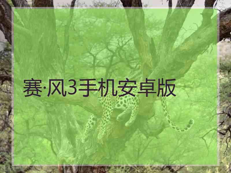 赛·风3手机安卓版