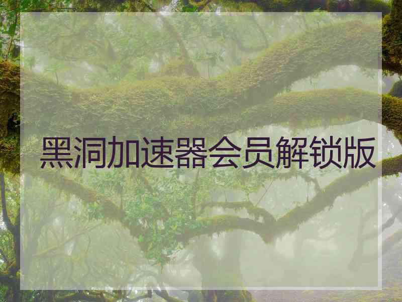 黑洞加速器会员解锁版