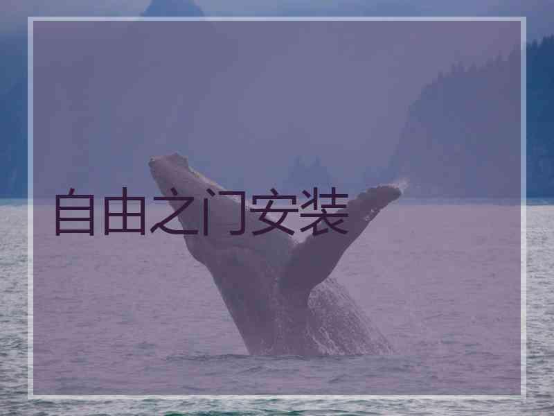 自由之门安装