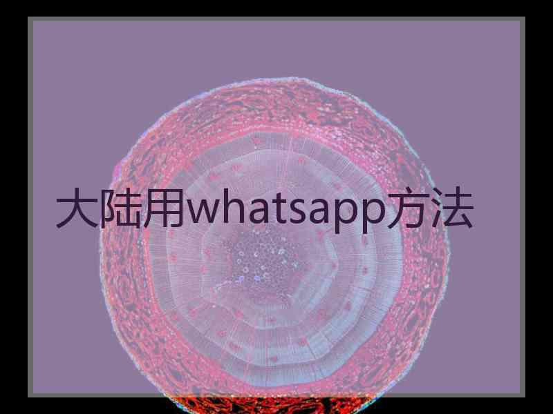 大陆用whatsapp方法
