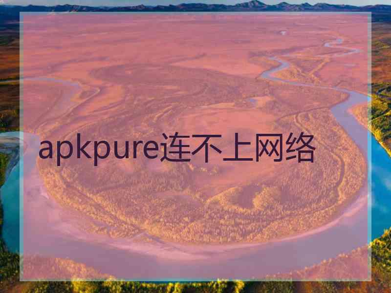 apkpure连不上网络