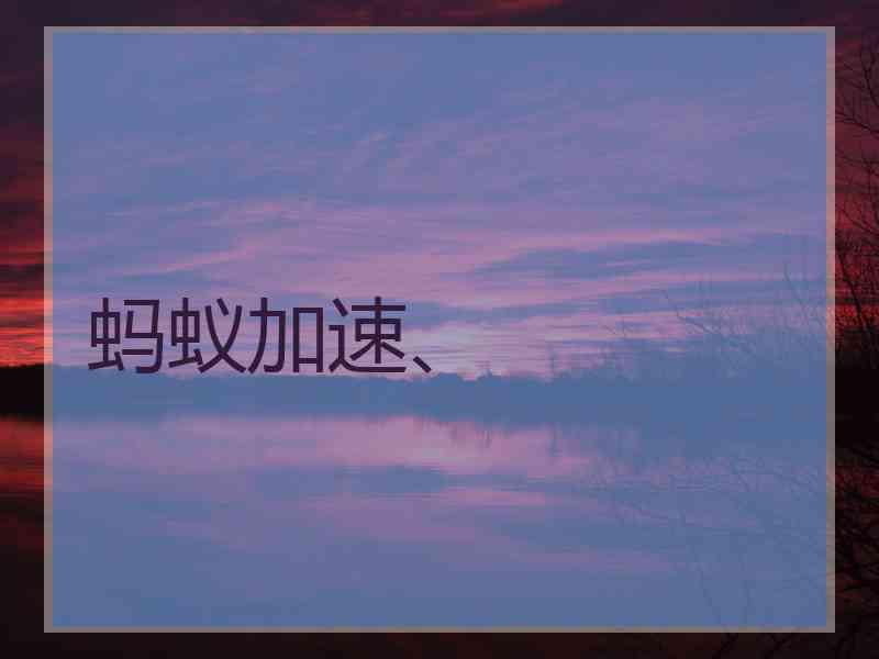 蚂蚁加速、