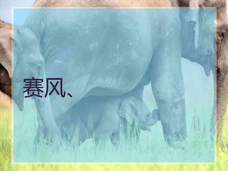 赛风、