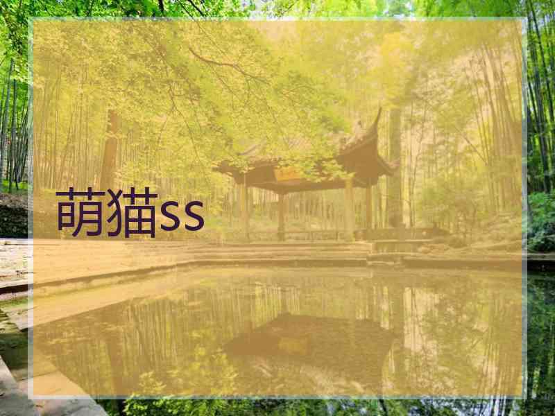 萌猫ss