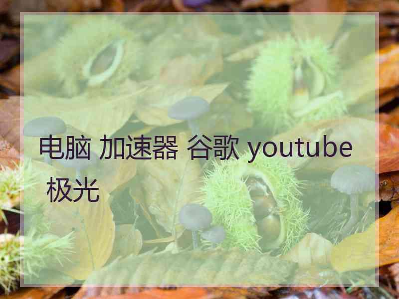 电脑 加速器 谷歌 youtube 极光