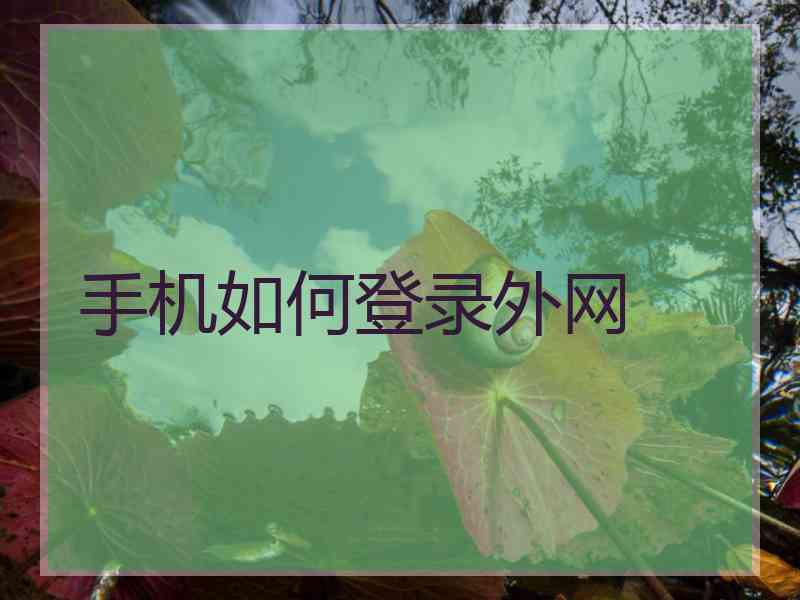 手机如何登录外网