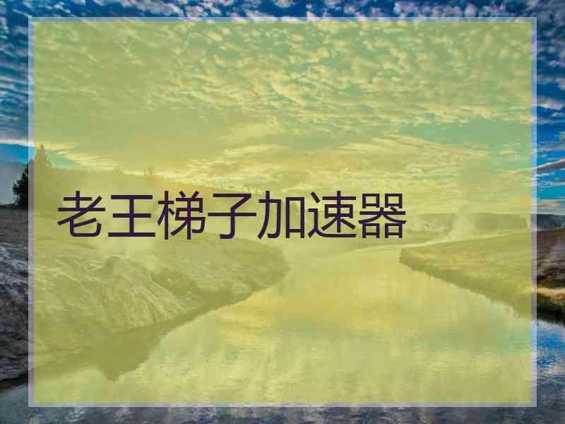 老王梯子加速器