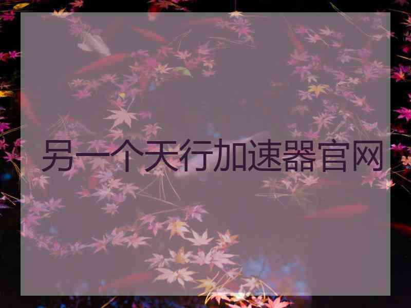 另一个天行加速器官网
