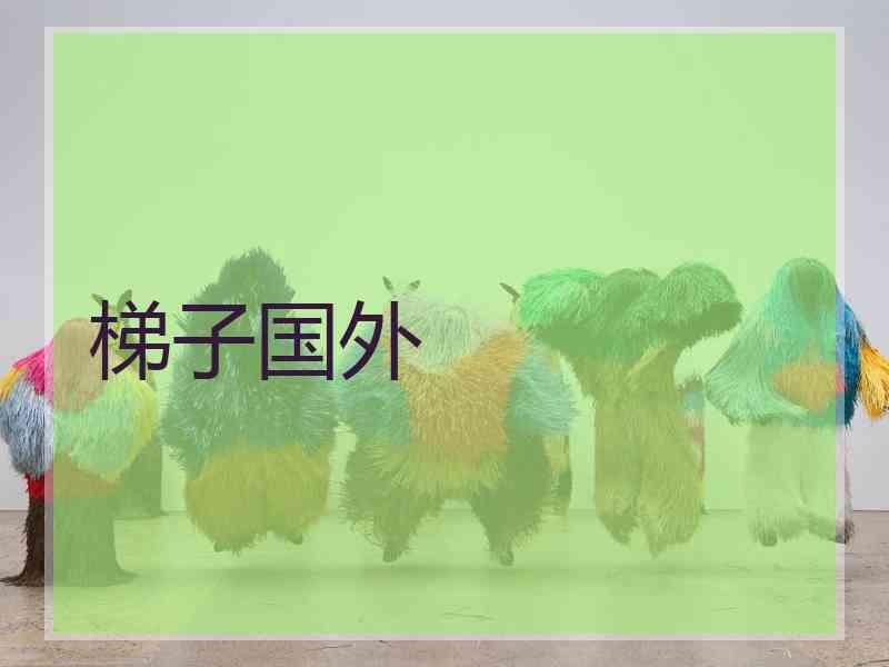 梯子国外