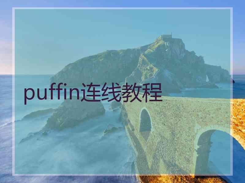 puffin连线教程