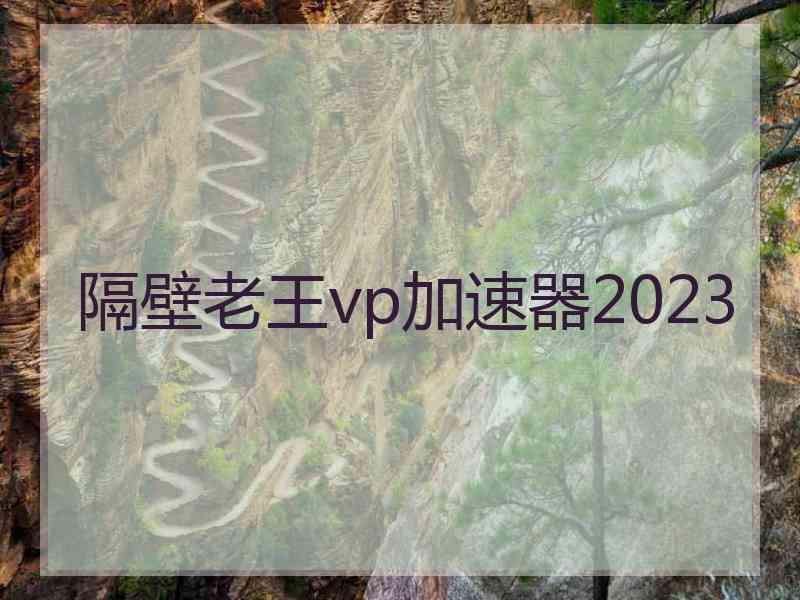 隔壁老王vp加速器2023