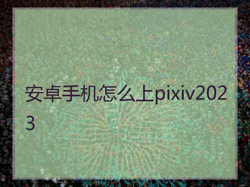 安卓手机怎么上pixiv2023