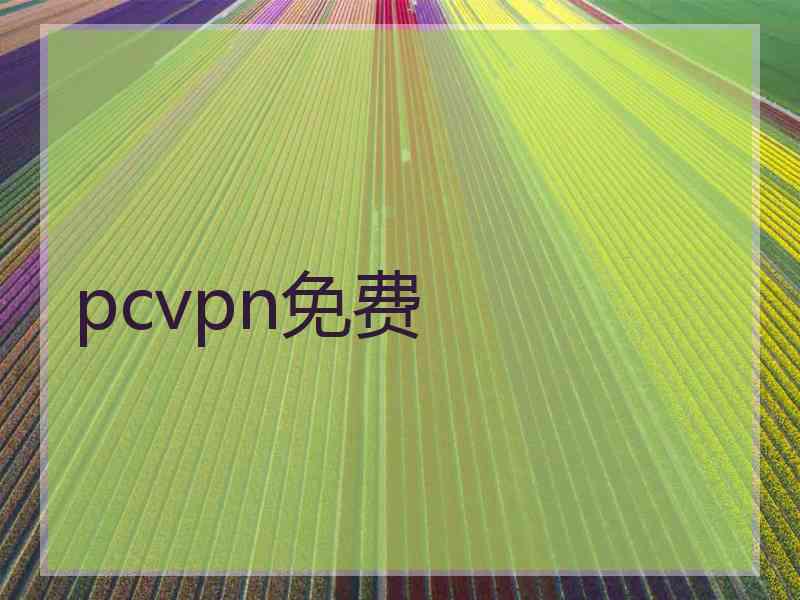 pcvpn免费