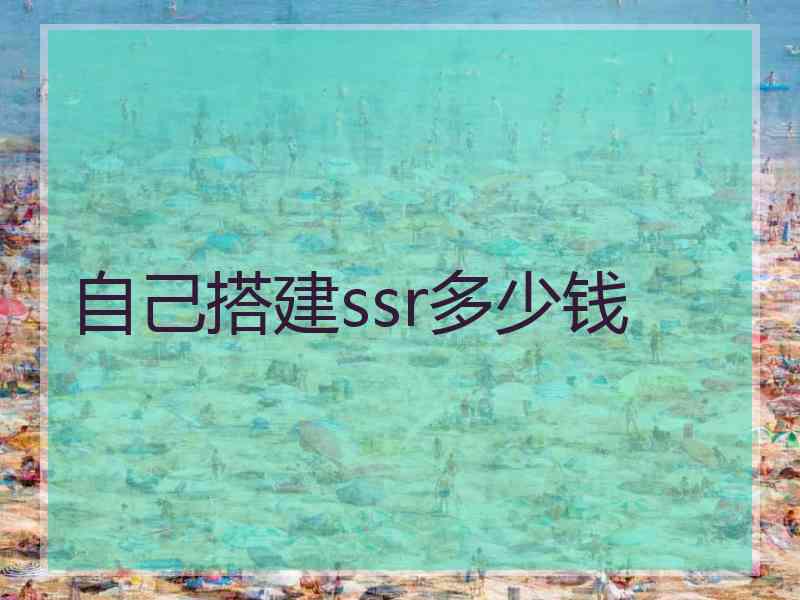 自己搭建ssr多少钱