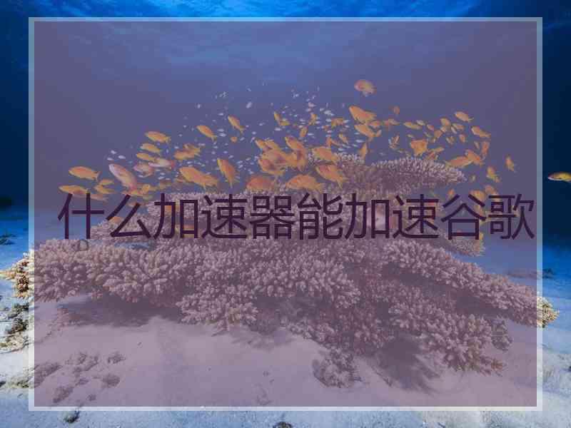 什么加速器能加速谷歌