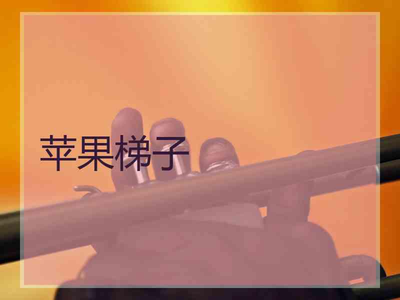 苹果梯子
