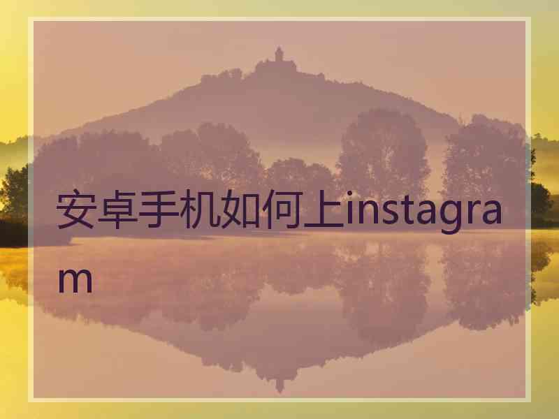 安卓手机如何上instagram