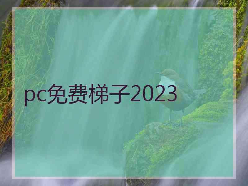 pc免费梯子2023