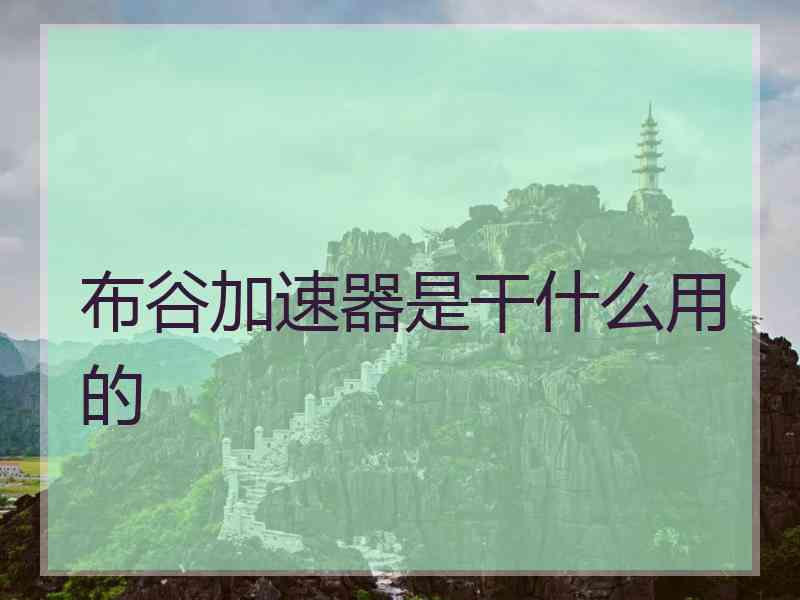 布谷加速器是干什么用的