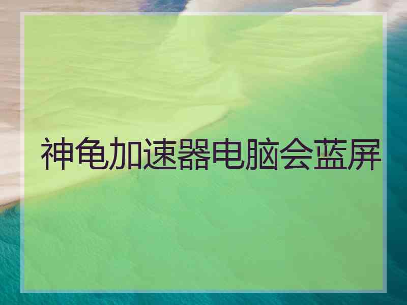 神龟加速器电脑会蓝屏