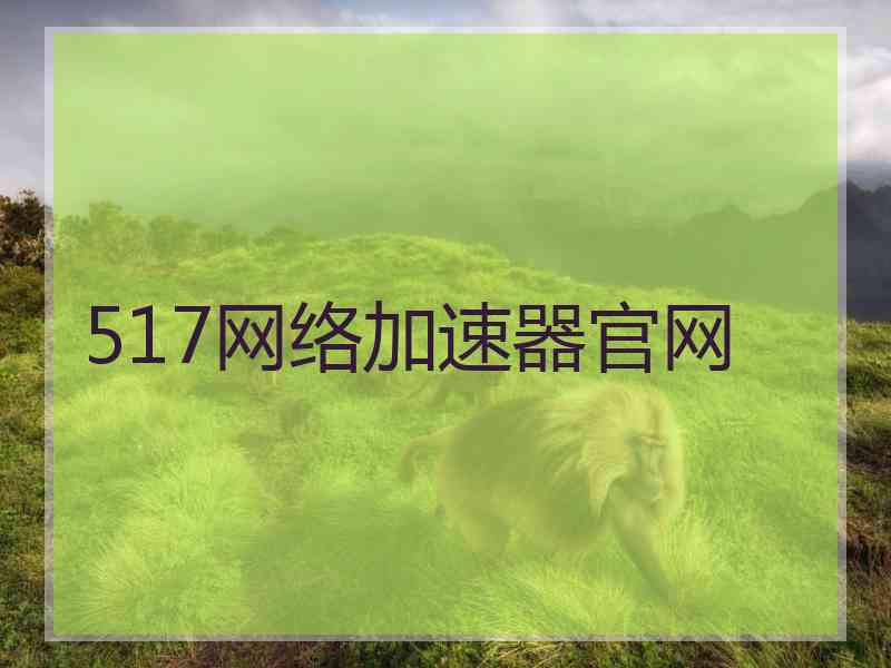 517网络加速器官网