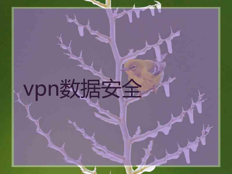 vpn数据安全