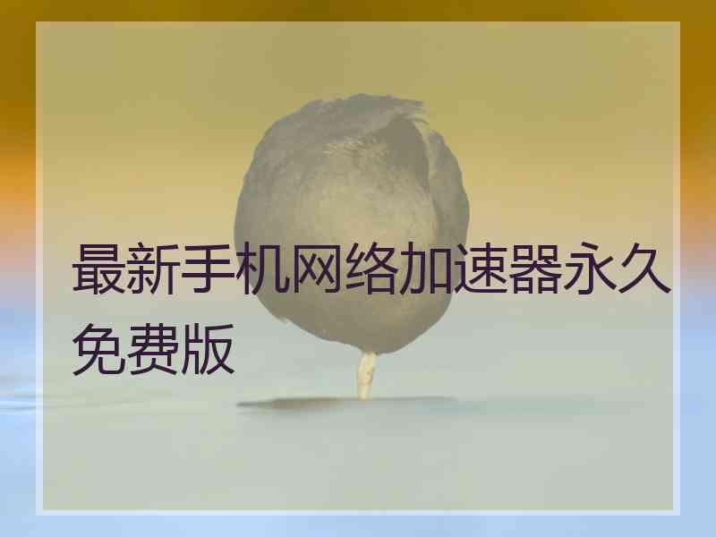 最新手机网络加速器永久免费版