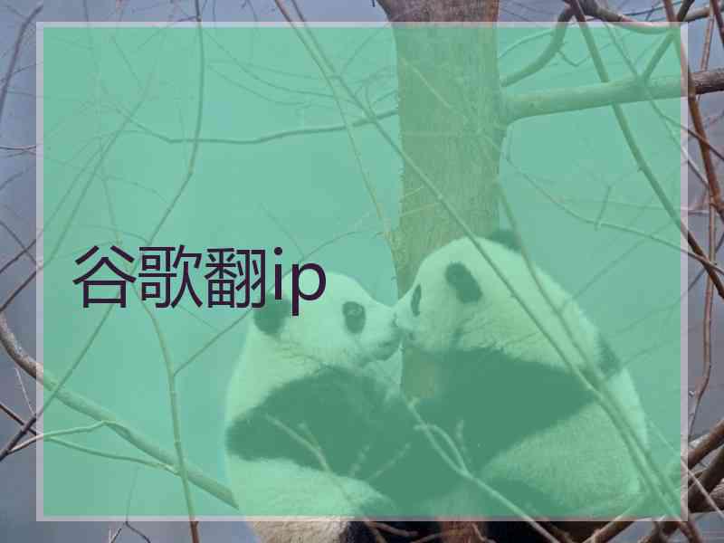 谷歌翻ip