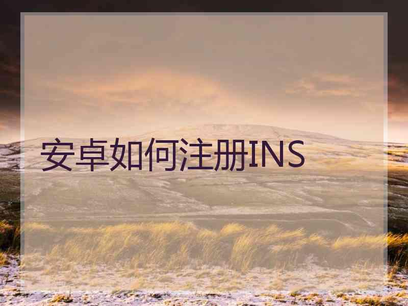 安卓如何注册INS