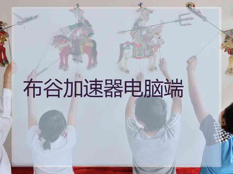 布谷加速器电脑端