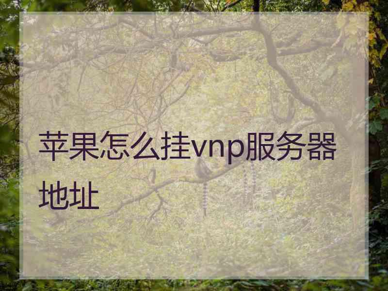 苹果怎么挂vnp服务器地址