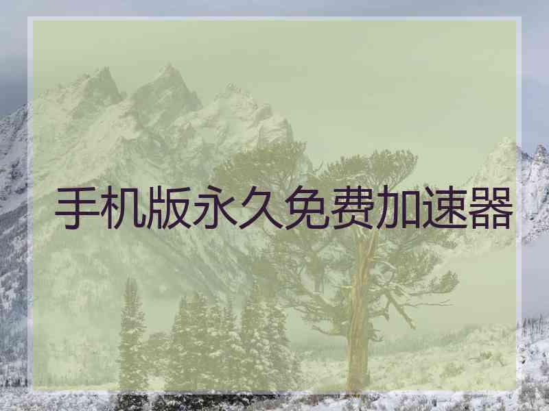 手机版永久免费加速器